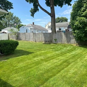 turf maintenance by A&L Lawncare reviewed on June 5, 2024