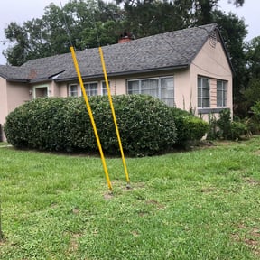 Bush Trimming by Superior Landscape & Maintenance, Inc. reviewed on August 16, 2025