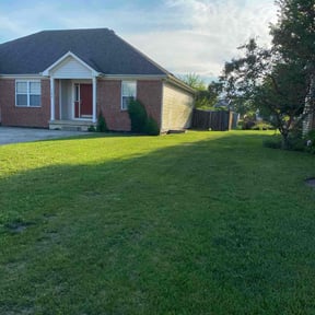 yard maintenance by Doug Mccrocklin reviewed on August 17, 2025