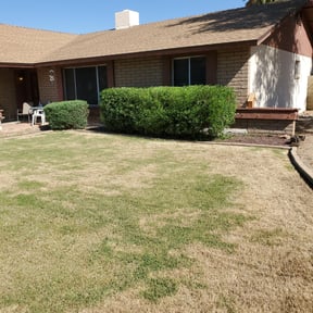 Bush Trimming by A -Pro Home Services reviewed on August 18, 2025