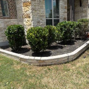 Bush Trimming by Blade Masters Lawn Care LLC reviewed on August 1, 2026