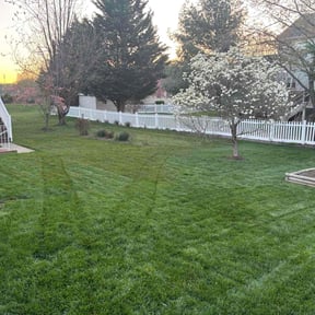 yard service by 4x Lawn Service reviewed on August 15, 2025