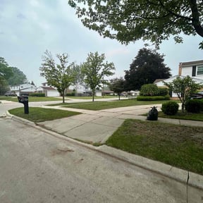 Leaf Removal by Sunnyside Lawn care reviewed on August 18, 2025