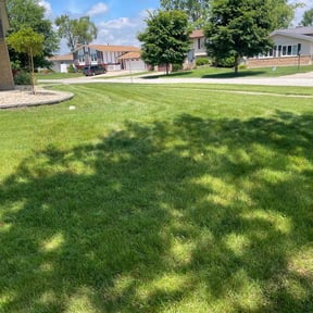 grass cutting by Tammy Becker Pool and Lawn Care reviewed on May 2, 2024