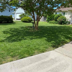 Bush Trimming by Texas Fencing &amp; Landscaping reviewed on July 6, 2022