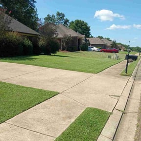 yard care by Murillo Services reviewed on August 13, 2025