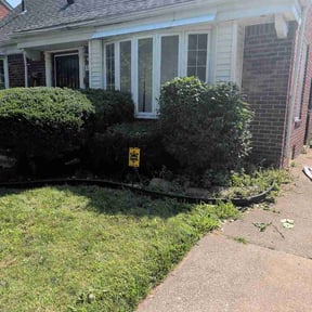 Bush Trimming by Darsee &amp; Son Landscape Services reviewed on July 13, 2026