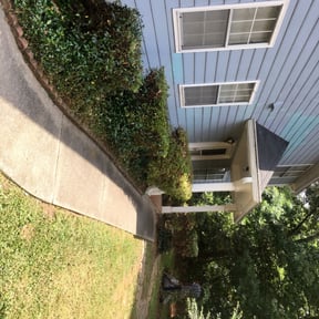 Bush Trimming by Dallas Enterprise LLC Lawn Care Services reviewed on August 20, 2025