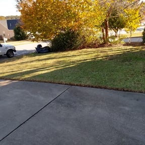 Leaf Removal by Precision tree service &amp; landscaping reviewed on September 22, 2025
