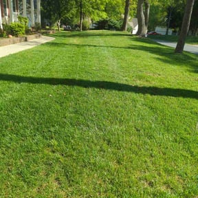 turf care by Milagro lawn care reviewed on July 20, 2025