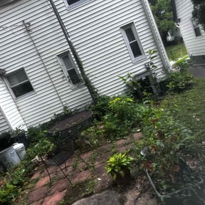 Bush Trimming by Pristine Green Lawn Care reviewed on August 20, 2025