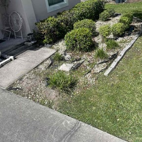 Flower Bed Weeding by Tefel rivera reviewed on October 22, 2025