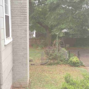 Bush Trimming by Carter Landscape Services reviewed on August 15, 2025