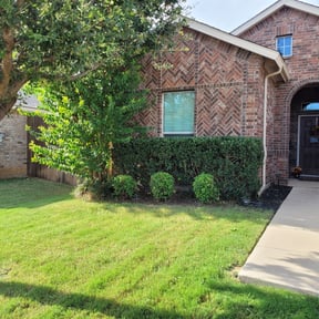 Bush Trimming by Squirrels lawn and landscaping reviewed on August 20, 2025
