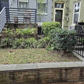 Bush Trimming by Phill's Property Services reviewed on August 21, 2025