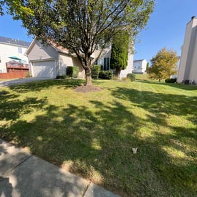 turf care by Cossie Landscaping reviewed on April 16, 2024
