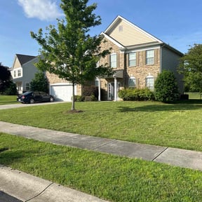 yard service by Micha's Mowing Services, LLC reviewed on August 19, 2025