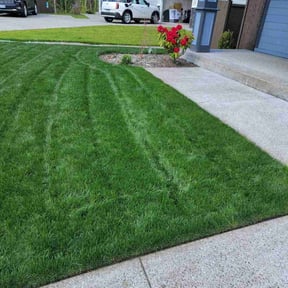 turf maintenance by Johnson landscaping reviewed on August 18, 2025
