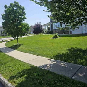 yard care by Get er Done Grass Cutting reviewed on August 16, 2025