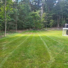 lawn care by Lawn Care Professionals reviewed on May 1, 2024
