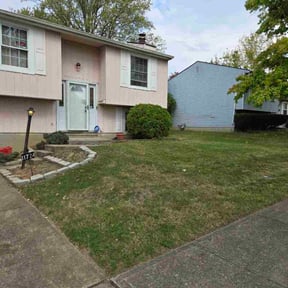 Bush Trimming by Lawn Care reviewed on November 23, 2025