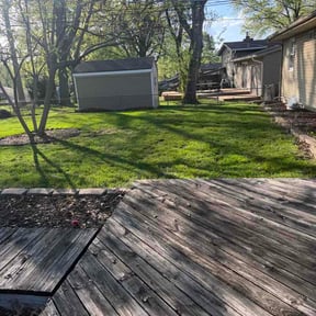 Leaf Removal by Dave's Professional Lawn Service reviewed on April 20, 2026