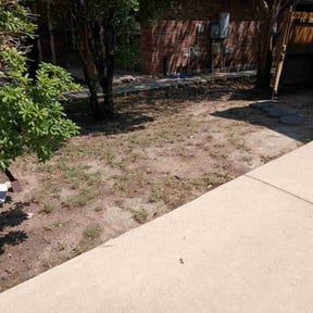 Leaf Removal by Williams Lawn Service reviewed on September 11, 2025