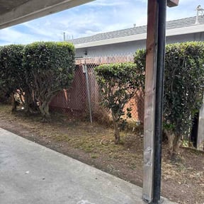 Bush Trimming by Mikes Mowing reviewed on August 31, 2026