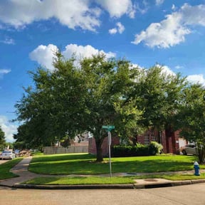 residential landscaping by JLS Lawn Care reviewed on August 15, 2025