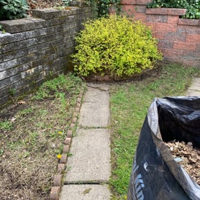 Leaf Removal by Keith's Lawn Care reviewed on August 15, 2025