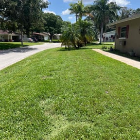 yard care by Nieves lawn care reviewed on August 21, 2025