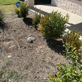 Flower Bed Weeding by Cutter&#039;s  reviewed on November 24, 2025