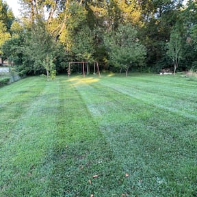 landscaping by We Talk Lawn and Tree reviewed on November 22, 2025