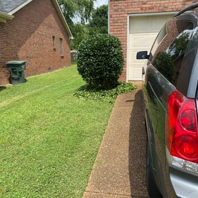 Bush Trimming by Ortiz landscape reviewed on May 12, 2025