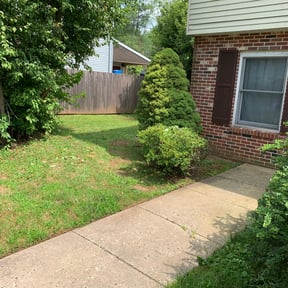 Bush Trimming by Green Life Landscapes reviewed on August 15, 2025