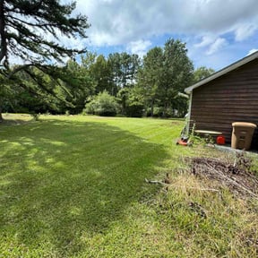 grass maintenance by Equality Lawn Care reviewed on March 21, 2024