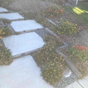 Bush Trimming by JH Landscape LLC reviewed on August 17, 2025