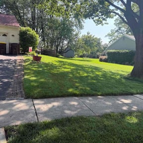 yard maintenance by 662 Grass Monkey Lawn SVC reviewed on August 17, 2025