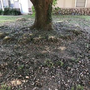 Flower Bed Weeding by Kelly Lawn Care reviewed on August 19, 2025
