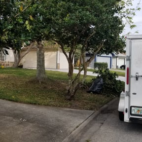 Bush Trimming by Inspo Lawncare reviewed on August 21, 2025