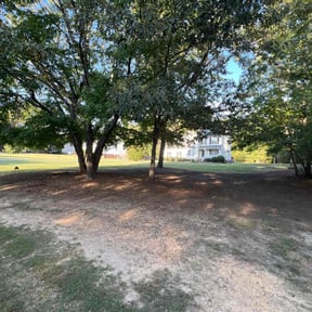 Leaf Removal by J&amp;O landscaping  reviewed on September 21, 2025