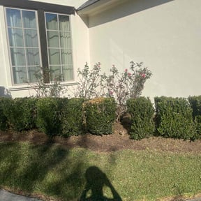 Bush Trimming by Lawn Busters LLC reviewed on August 17, 2025