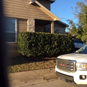 Bush Trimming by A Handyman and Mowing Company reviewed on August 15, 2025