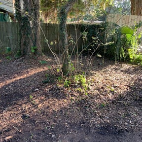 Leaf Removal by T an C landscaping reviewed on August 20, 2025