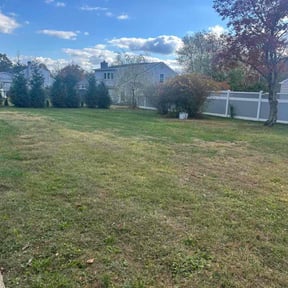 Leaf Removal by Hart's landscaping reviewed on November 10, 2025