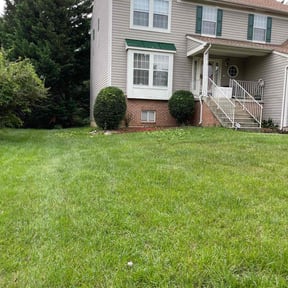 Bush Trimming by M&M Lawn Care reviewed on August 19, 2025
