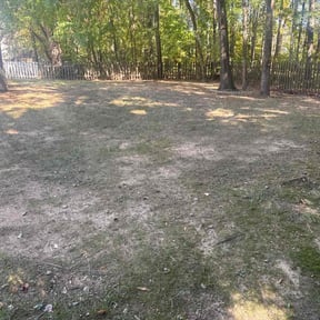 Leaf Removal by Baldwin Premium Lawn Care reviewed on October 20, 2025