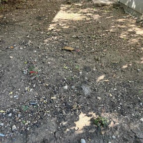 Leaf Removal by One call away reviewed on September 17, 2025