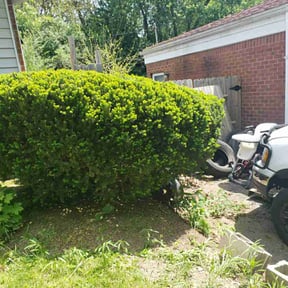 Bush Trimming by Chris Slone Lawn Love reviewed on August 20, 2025