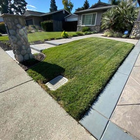 landscaping by Legend Property Care LLC reviewed on August 17, 2025